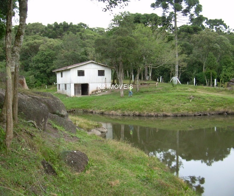  - Chácara à venda em Quatro Barras, Borda do Campo, com 3 quartos, 338800,00m²