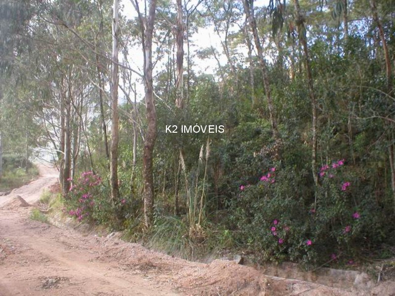  - Chácara à venda em Quatro Barras, Borda do Campo, com 3 quartos, 338800,00m²