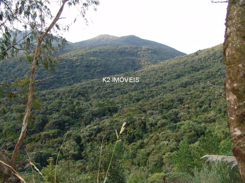  - Chácara à venda em Quatro Barras, Borda do Campo, com 3 quartos, 338800,00m²